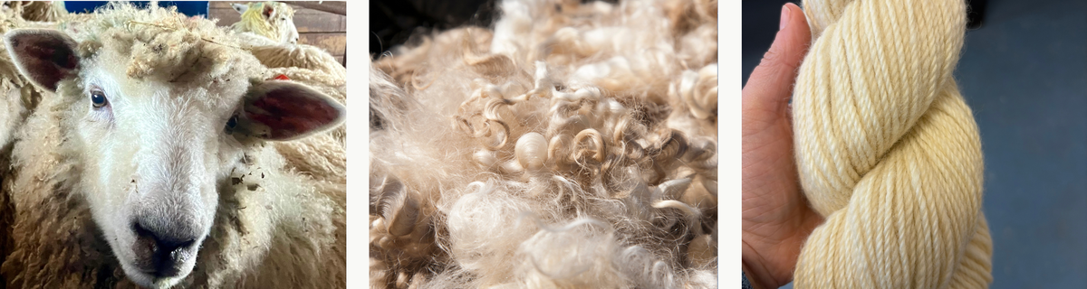 Shepherd's Ridge - Lincoln Long Wool Blends - For beautiful colors and no pilling