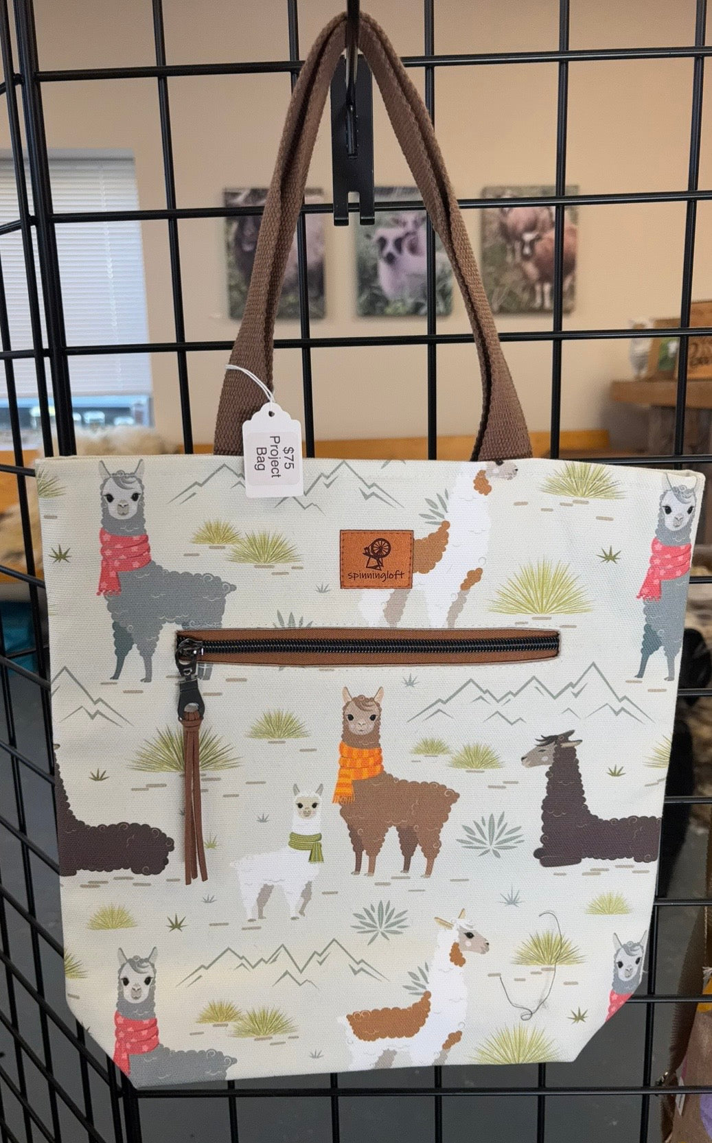 Project Bag