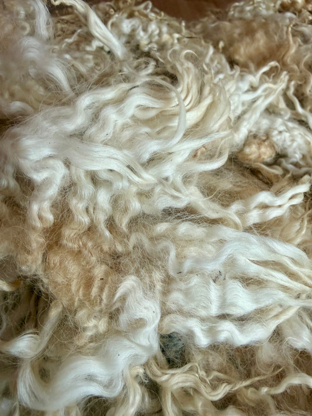 Lincoln / East Fresian - 3-ply Worsted