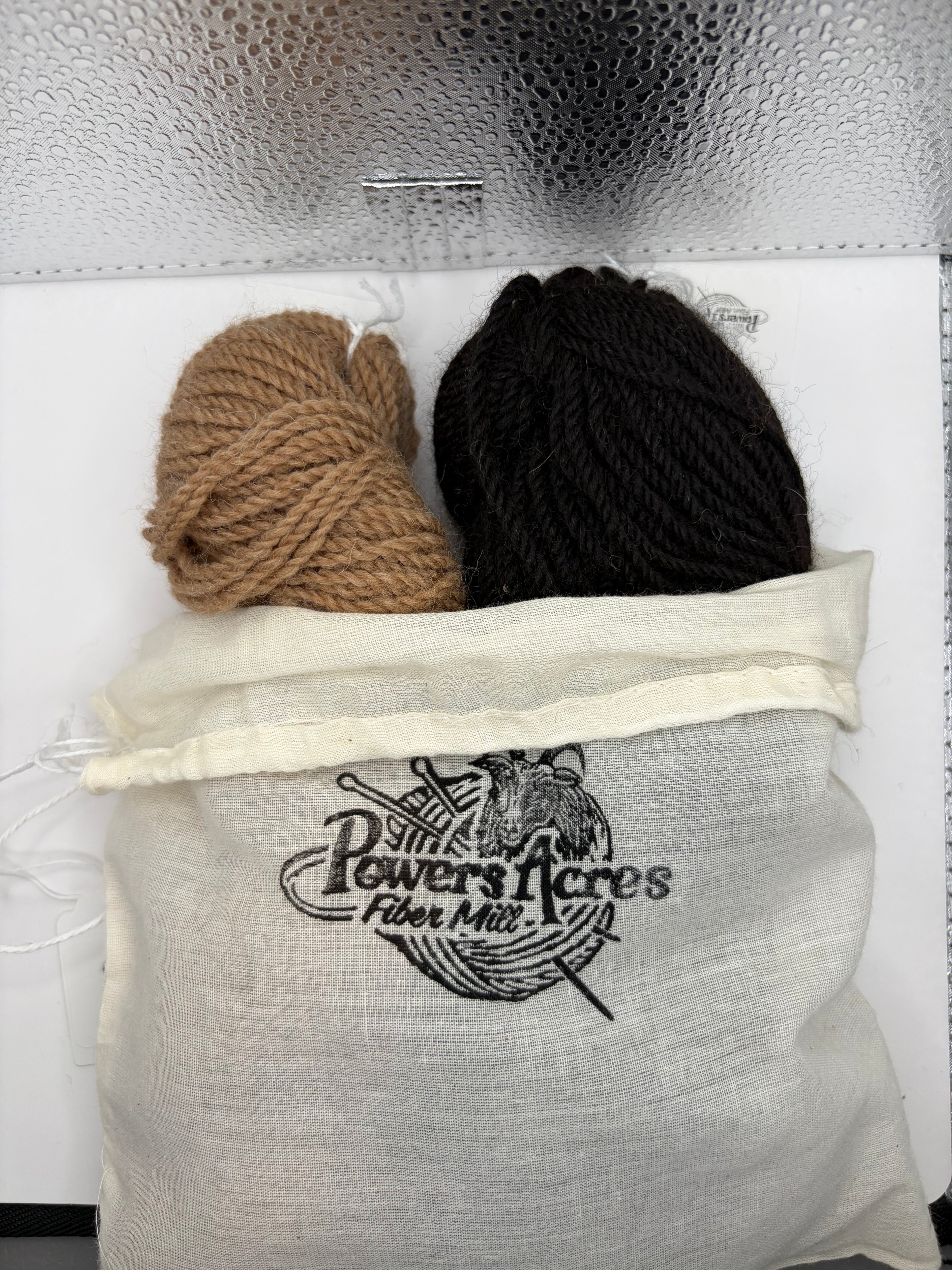 Alpaca Powers Mittens Kit