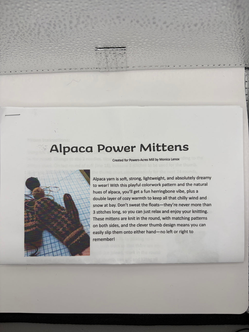 Alpaca Powers Mittens Kit