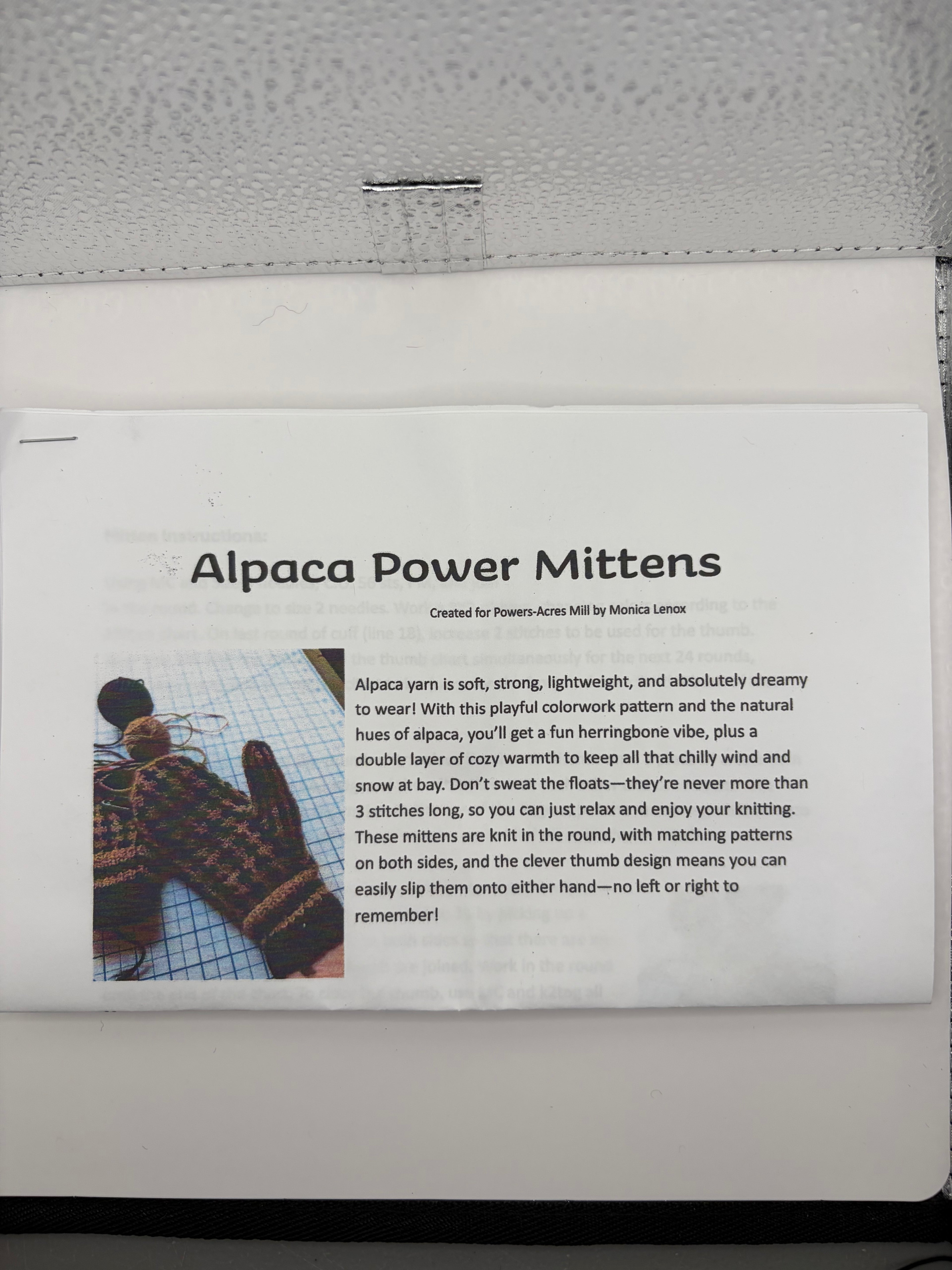 Alpaca Powers Mittens Kit