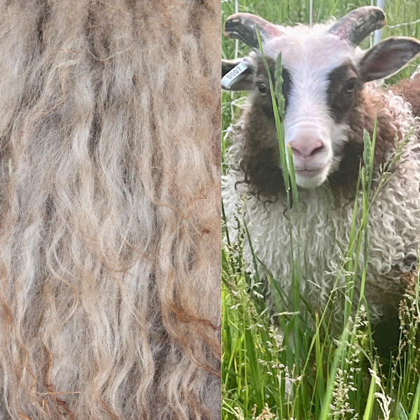 Icelandic - 2-ply Worsted
