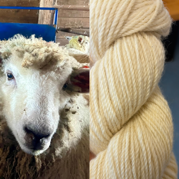 Lincoln / East Fresian - 3-ply Worsted